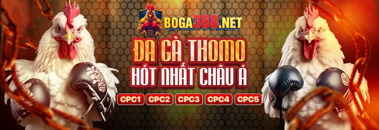 Đá Gà Trực Tuyến Hấp Dẫn tại vu 88